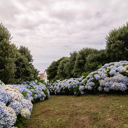Atlantic Seaview Window *
