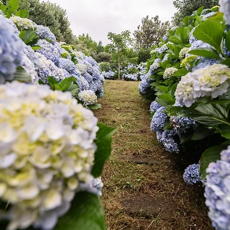 Atlantic Seaview Window *
