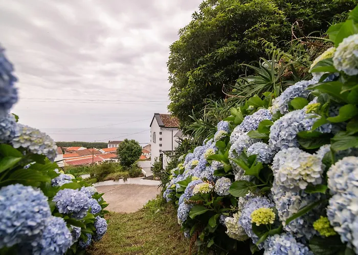 Prázdninový dům Atlantic Seaview Window *