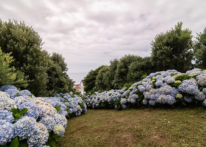 Atlantic Seaview Window *